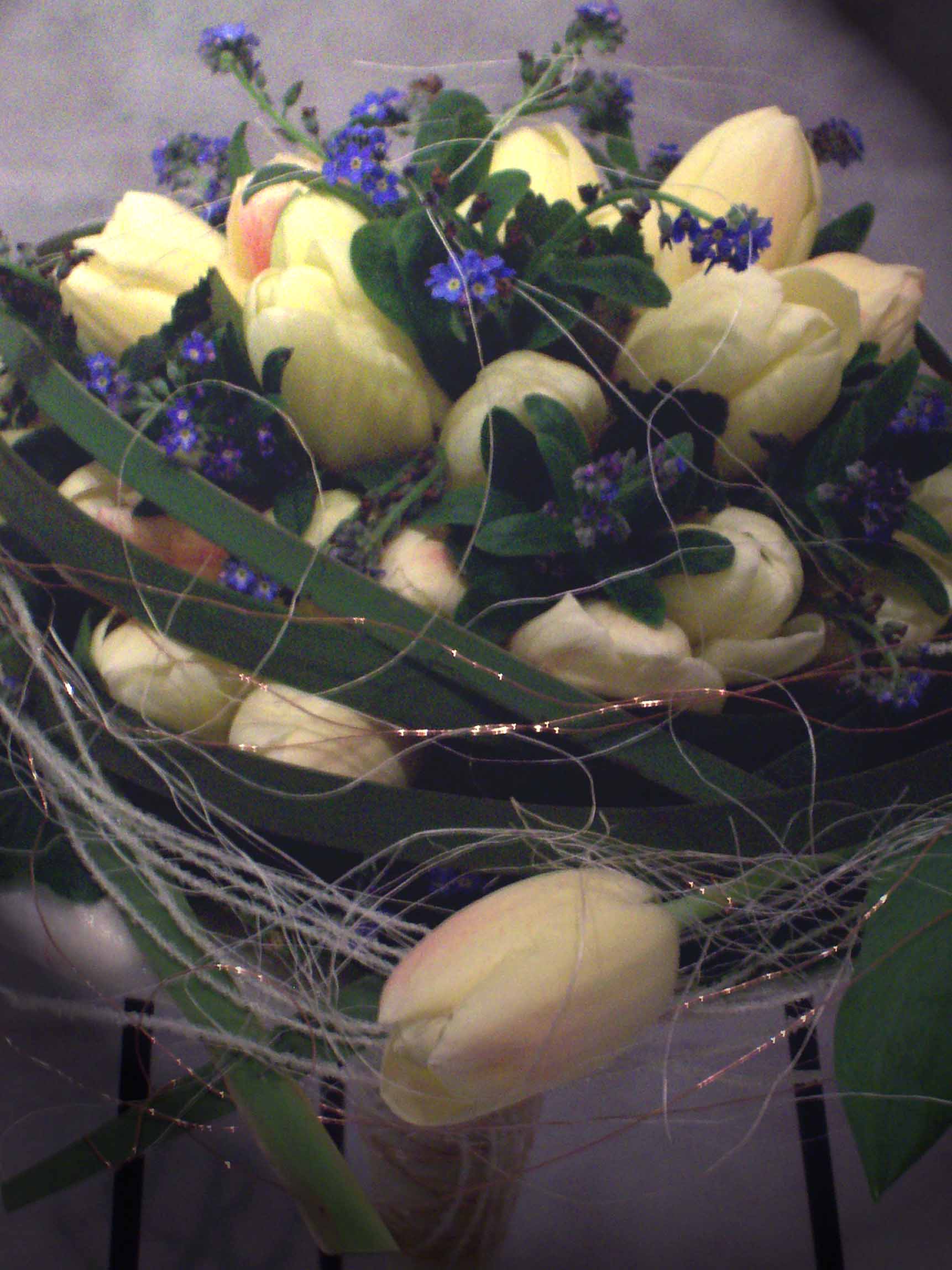 tulipany 23.jpg